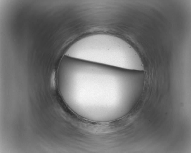 X0000067870024200604131026