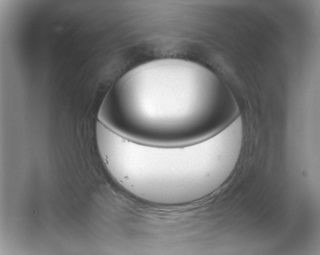 X0000067870025200604131026