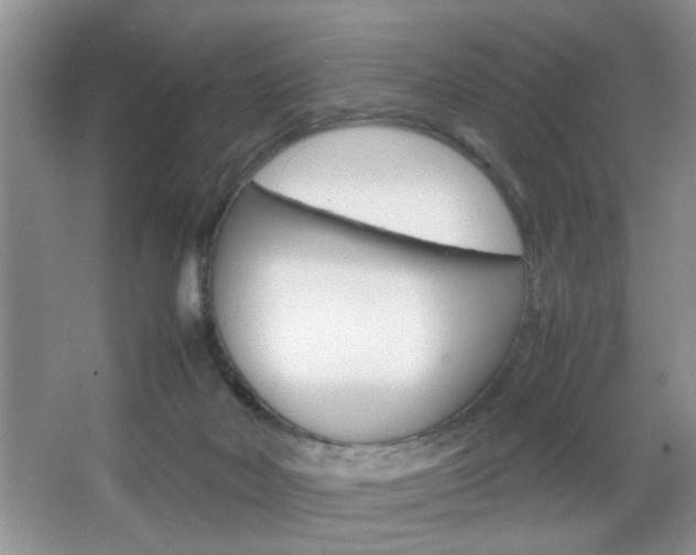 X0000067870026200604131026