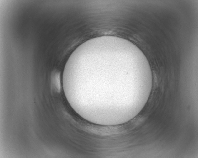 X0000067870028200604131026