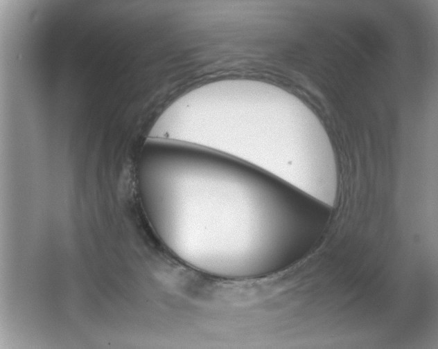 X0000067870029200604131026