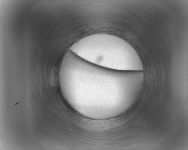 X0000067870030200604131026