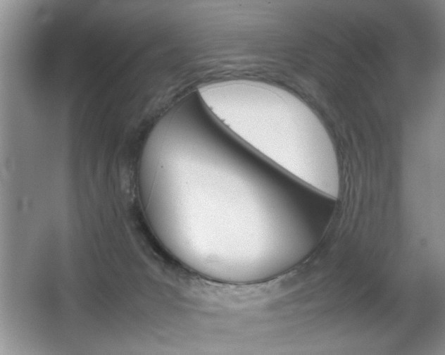 X0000067870031200604131026