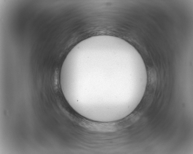 X0000067870032200604131026