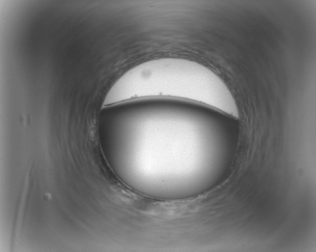 X0000067870033200604131026