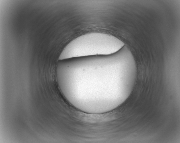 X0000067870034200604131026