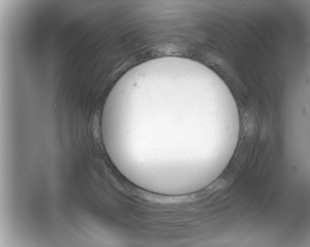 X0000067870036200604131026