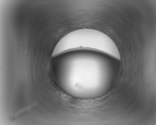 X0000067870037200604131026