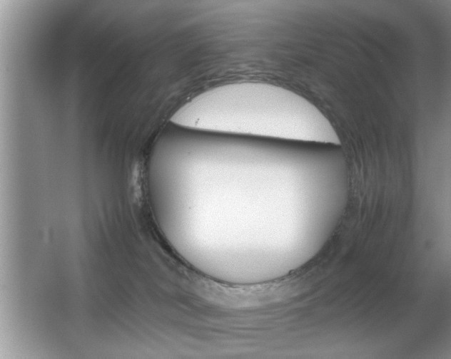 X0000067870038200604131026