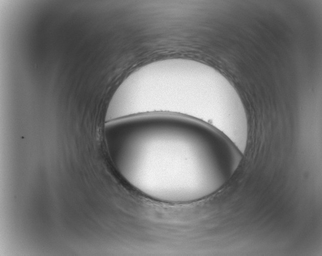 X0000067870039200604131026