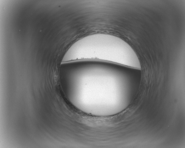 X0000067870040200604131026