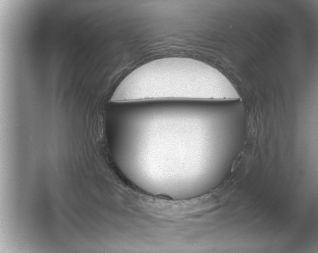 X0000067870043200604131026