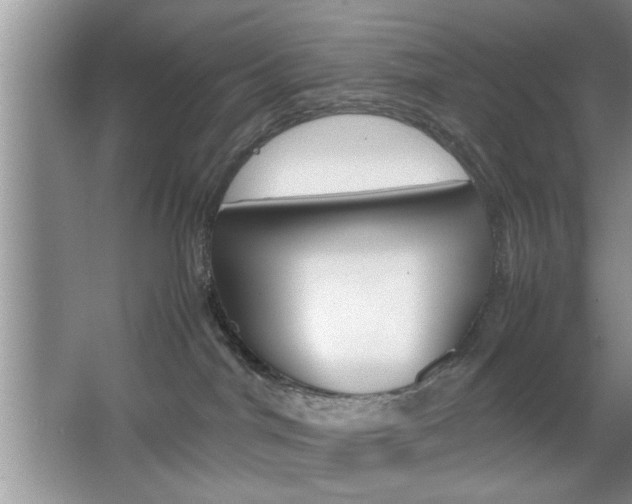 X0000067870044200604131026