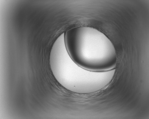 X0000067870045200604131026