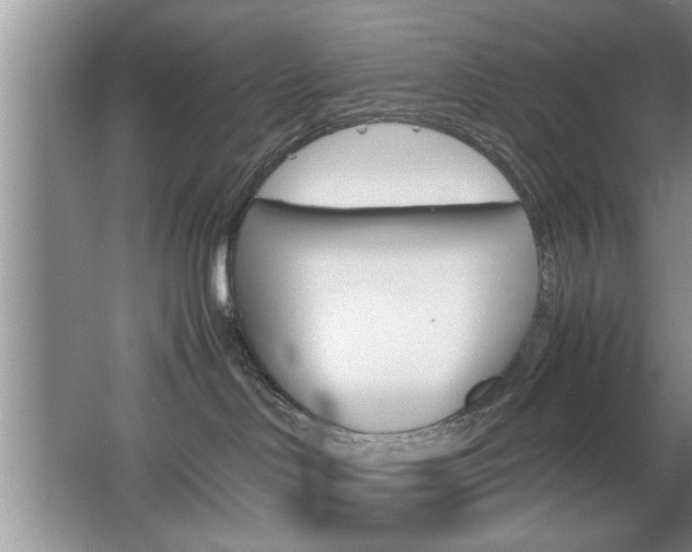 X0000067870046200604131026