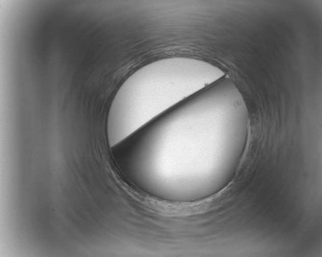 X0000067870047200604131026