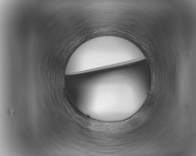 X0000067870048200604131026