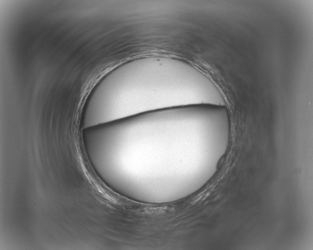 X0000067870049200604131025