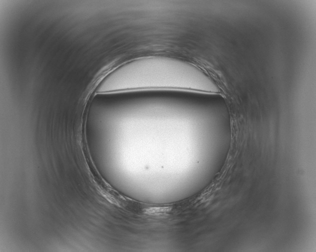 X0000067870051200604131025