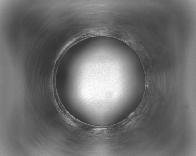 X0000067870052200604131025