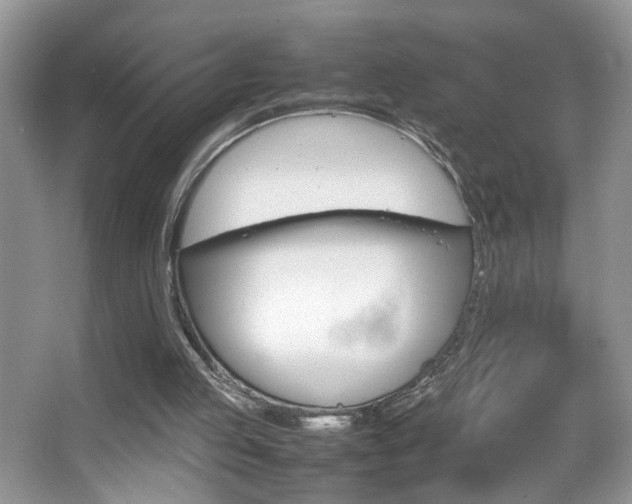 X0000067870053200604131025