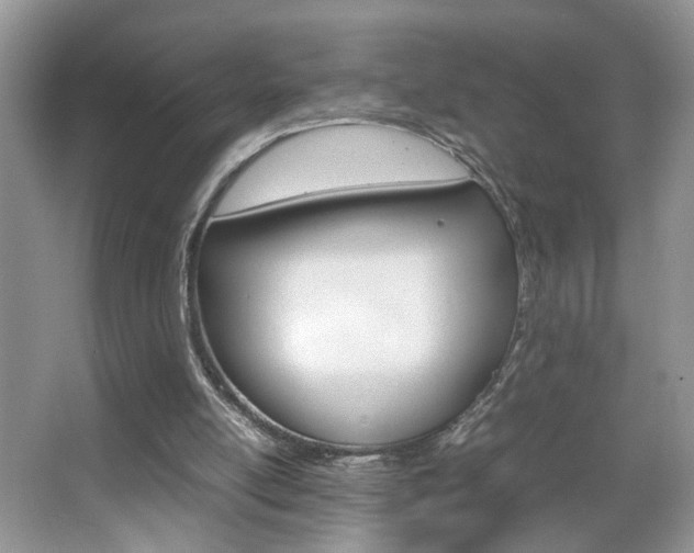 X0000067870054200604131025