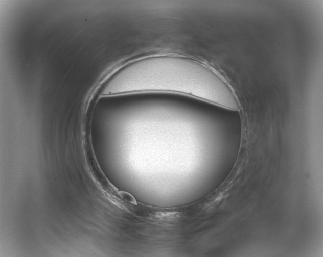 X0000067870055200604131025