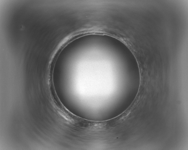 X0000067870056200604131025