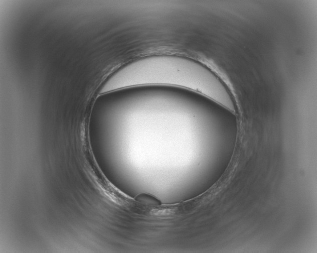 X0000067870057200604131025