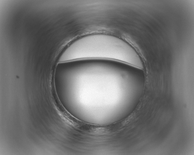 X0000067870058200604131025