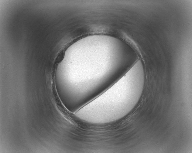 X0000067870059200604131025