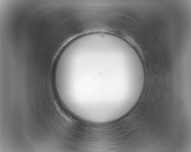 X0000067870060200604131025