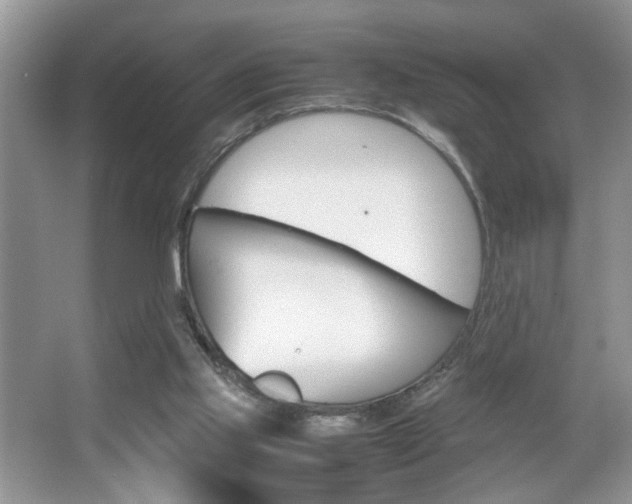 X0000067870061200604131025