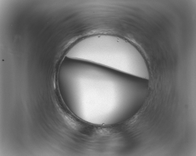 X0000067870062200604131025