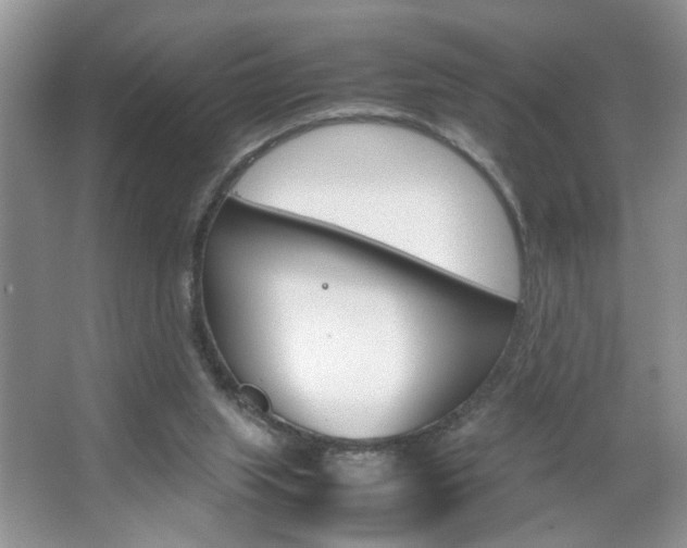 X0000067870063200604131025