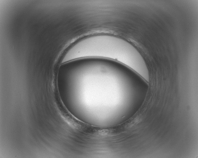 X0000067870064200604131025