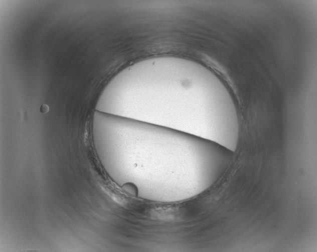 X0000067870065200604131025