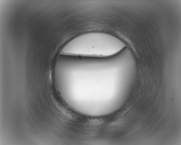 X0000067870067200604131025