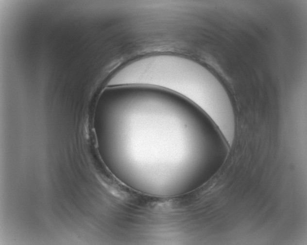 X0000067870068200604131025