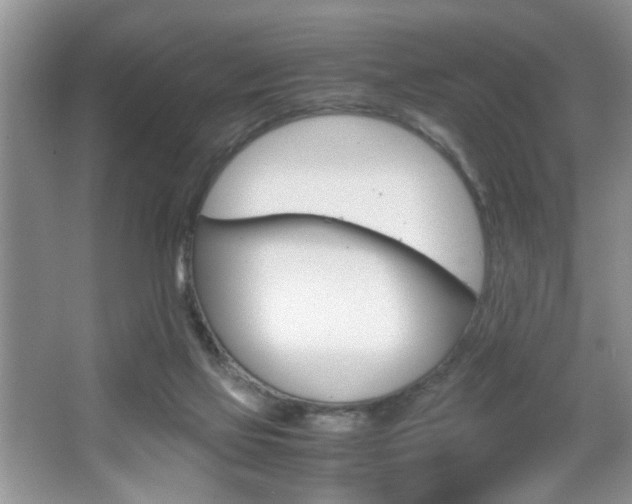 X0000067870069200604131025