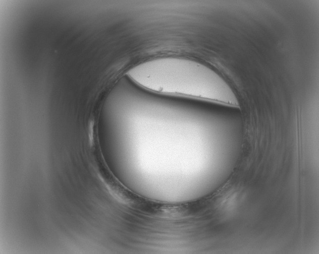 X0000067870070200604131025