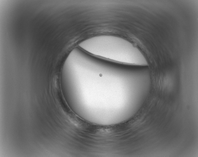 X0000067870071200604131025