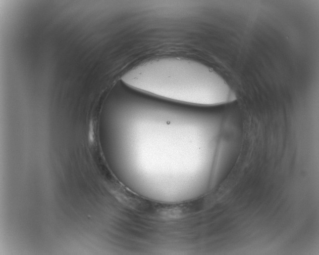 X0000067870075200604131026