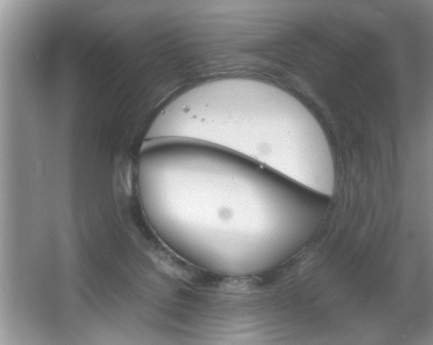 X0000067870076200604131026