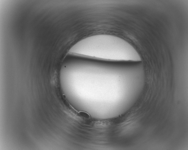 X0000067870077200604131026