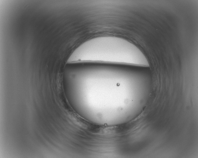 X0000067870078200604131026