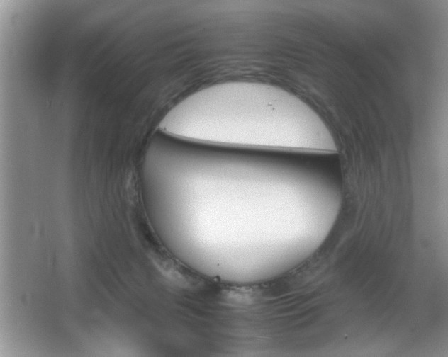 X0000067870079200604131026