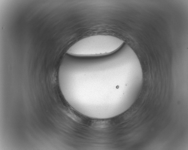 X0000067870081200604131026