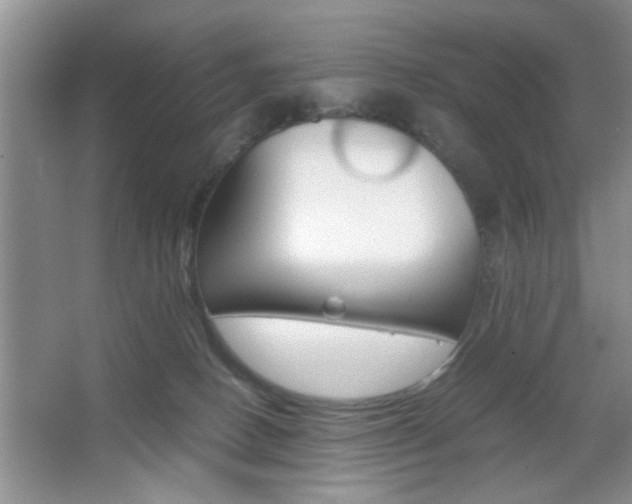 X0000067870082200604131026