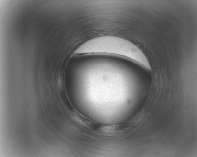 X0000067870084200604131026